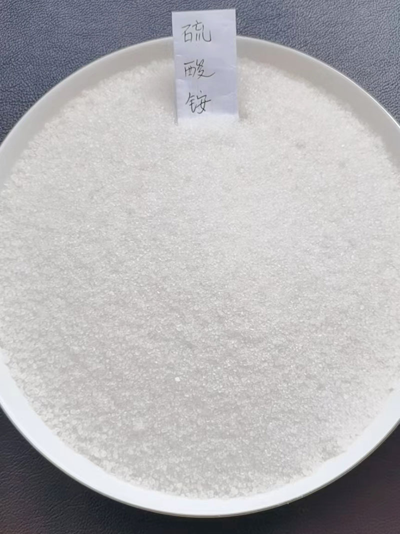 亚黄瓜视频在线看片